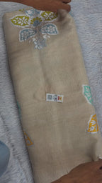 Banarasi Pure Tussar Silk Saree | Silver Zari and Multicolour Artistry