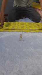 Elegant Pure Khaddi Georgette Banarasi Saree | Water Zari Jaal Design