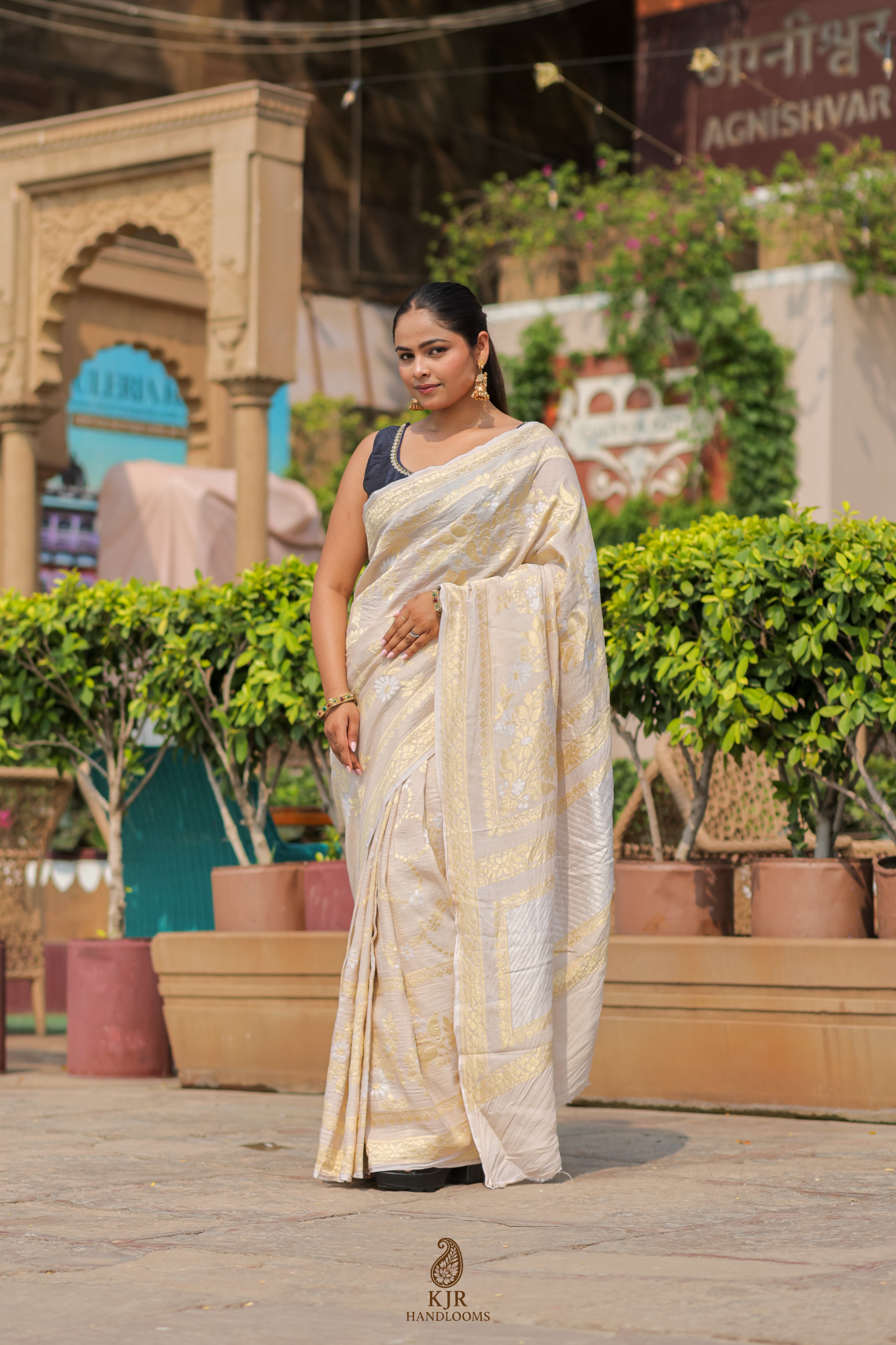 Pure Tussar Georgette Silk Banarasi Saree | Handwoven in Banaras