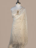 Pure Tissue Georgette Banarasi Saree | Kadwa Weaving with Gold Silver Zari