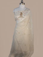 Pure Tissue Georgette Banarasi Saree | Kadwa Weaving with Gold Silver Zari